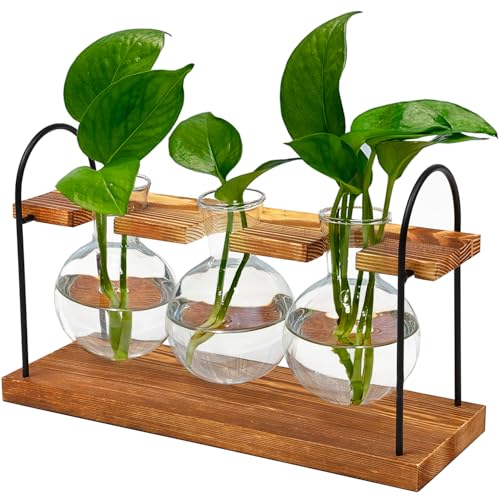 Plant Terrarium with Wooden Stand, Birthday Gift for Women Mom Plant Lover