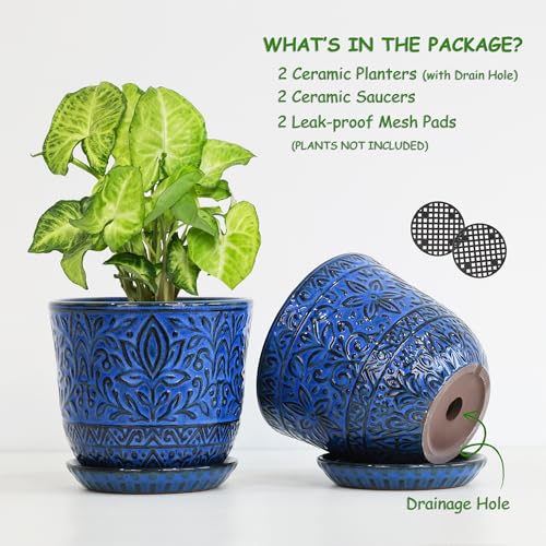 Gepege Ceramic Plant Pots, 6 Inch Indoor Planters with Drainage & Saucers - color: Blue-a, size: 6 Inch - Set of 2