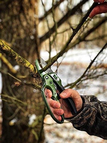 EZ Kut Heavy Duty Ratcheting Pruning Shears Green with Holster and Sharpener, Garden Hand Pruner with Ballistic Nylon Sheath, Arthritis Friendly Anvil Clippers for Thick Branches Cuts Up to 1.5 Inches - color: Gren Pack