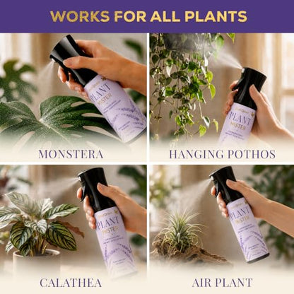 Plant Mister Spray Bottle for Indoor Plants With Plant Care Guide - color: Lavender Garden