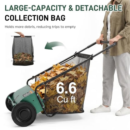 DRMBOOK Push Lawn Sweeper, Manual Leaf & Grass Collector, 21-Inch Green - color: Green, size: 21-Inch