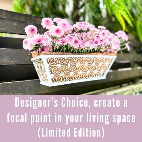 LaLaGreen Window Boxes Planter (2 Pack, 16 Inch) White Metal Rectangular Wall Planters with Coco Liner, Horse Trough Deck Railing for Outdoor Plants Holder, Modern Rail, Balcony, Fence, Porch Patio - size: 16" (41cm) x 2 pack