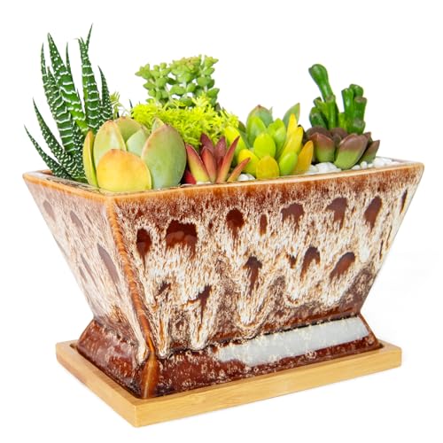 ARTKETTY Succulent Pots, 7 Inch Large Plant Pots with Drainage Tray - color: White With Tray