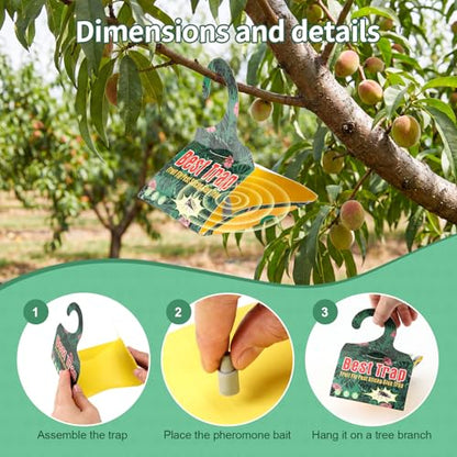 6 Pack Codling Moth Traps for Apple Trees with Pheromone Lures – Triangular Hanging Sticky for Apple Trees, Includes 6Traps & 6 Lures, for Orchard & Garden Use - style: for Apple