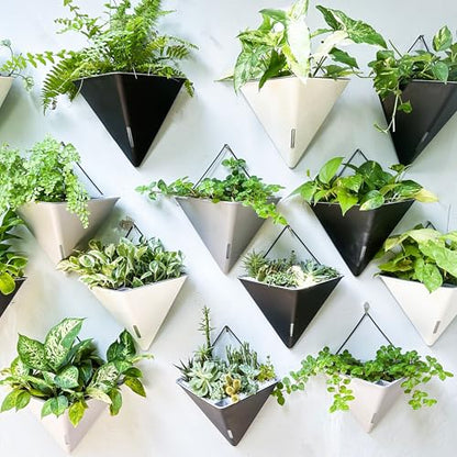 LaLaGreen Wall Planter for Indoor (12in, 4 Pack) Large Self Watering Plants - color: Black X 4 Pack