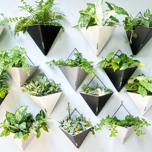 LaLaGreen Indoor Wall Planter (12in, 2 Pack) Black Self Watering Flower Pot - color: Black X 2 Pack