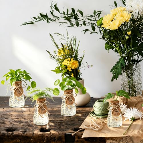 Ysglory 30 Pack Plant Propagation Stations 3.35" Plastic Vases