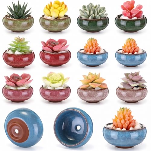12 Pcs Small Succulent Pots with Drainage 2.5 Inch Mini Ceramic Ice Crack Glaze Plant Container for Cactus, Plant Lover Gifts for Women Mom Aunt Home Office Decor, 6 Colors