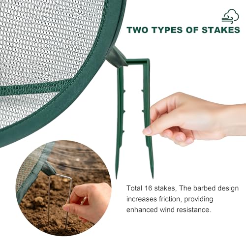 2Pack Pop-Up Mesh Plant Enclosure, Plant Cover for Vegetables Fruits - color: Dark Green