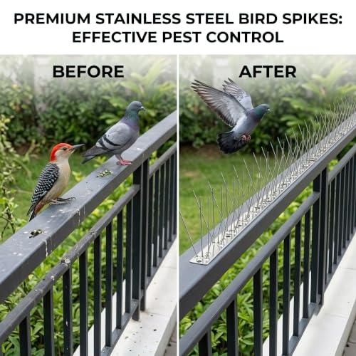 304 Stainless Steel Bird Spikes for Outside, Durable Pigeon Spikes Fence Kit to Keep Small Birds, Crows and Woodpeckers Away, Outdoor Scare Devices, 6 Pcs Covers 4.92 FT - size: 4.92Ft