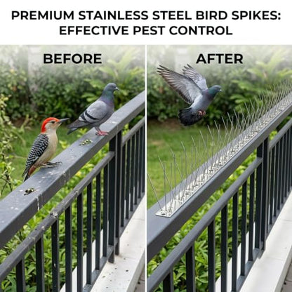 304 Stainless Steel Bird Spikes for Outside, Durable Pigeon Spikes Fence Kit to Keep Small Birds, Crows and Woodpeckers Away, Outdoor Scare Devices, 6 Pcs Covers 4.92 FT - size: 4.92Ft