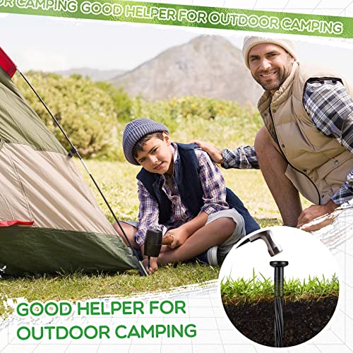 Handepo 250 Pcs 8 Inch Landscape Edging Spikes Plastic Lawn Stakes Anchoring Nails Spiral Nylon Garden Ground Lawn Artificial Nails for Paver Edging Weed Barriers Tent Construction(Black)