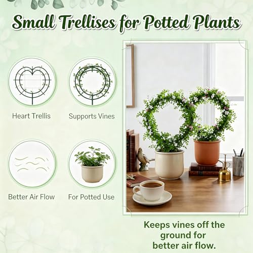 3 Pcs Hoya Trellis Set, Heart Shaped Plant Stand,