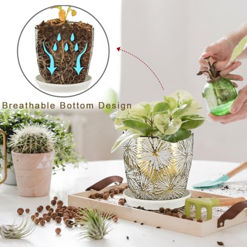 Oairse 6 +5 inch Ceramic Planter Pots Set of 2 Small Round Flower Pots with Drainage Hole and Ceramic Tray for Succulents Cactus Indoor Outdoor Garden Home Windowsill - color: Gold