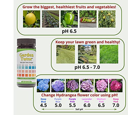 Garden Tutor Soil pH and Soil Texture Test kit Bundle