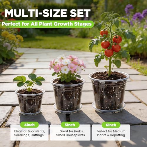 4/5/6 Inch Clear Nursery Pots with Drainage and Saucer for Multiple Crops
