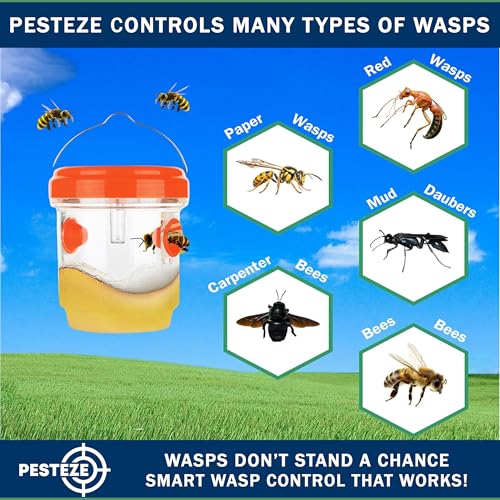 PESTEZE USA 2 Pack Reusable Solar Hanging Wasp Trap with LED Light [Orange, 3.5×4.4 in]–Attracts & Stop Wasps, Hornets, Yellow Jackets & Flying Insects Safely, Waterproof Outdoor Trap