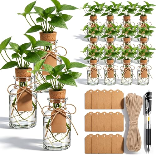 15 Pack Plant Propagation Stations with Hole Lid Tag,Cylindrical