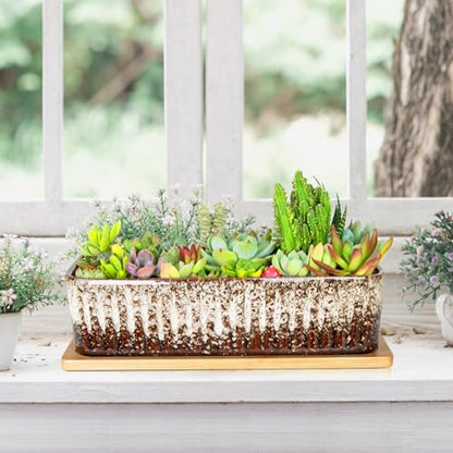 Succulent Pots, 12'' Long Rectangle Planters with Tray, Windowsill Planter - color: White