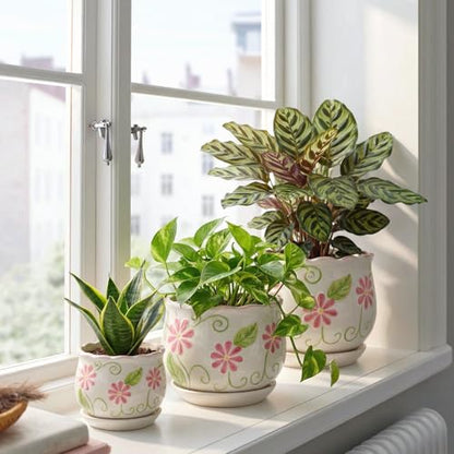 Pink Ceramic Flower Pots, 4+5.2+6.6 Inch Small Plant Pots for Indoor Plant - color: White99-hp