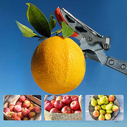 GARTOL Pruner for Garden, Cut Upto 1 Inch & Hold Telescopic Pole Pruner, Fruit Picker with Rotating Blade Head, Lightweight Aluminum Extendable Handle for Tree Branch Cutter, 7.87-13.78 FT, Silver - size: 7.87-13.78 FT