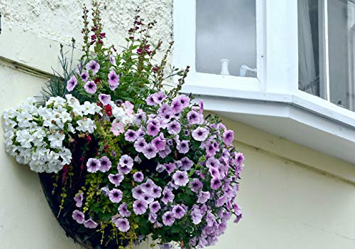 2PCS Half Round Replacement Coco Liner for Hanging Basket Wall Flower Basket Half Circle Wall Planter Coconut Fiber Plant Basket Liner for Garden Planter Flower Pot (16 inch) - size: 16 inch