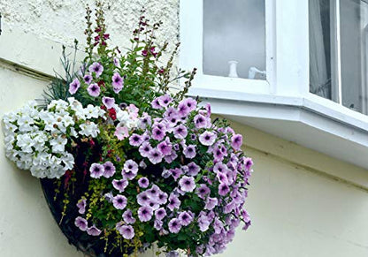 2PCS Half Round Replacement Coco Liner for Hanging Basket Wall Flower Basket Half Circle Wall Planter Coconut Fiber Plant Basket Liner for Garden Planter Flower Pot (16 inch) - size: 16 inch