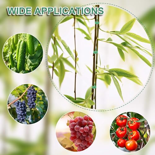Reusable Plant Tape for Effective Growing, 6 Rolls, 196 ft x 1/2 in