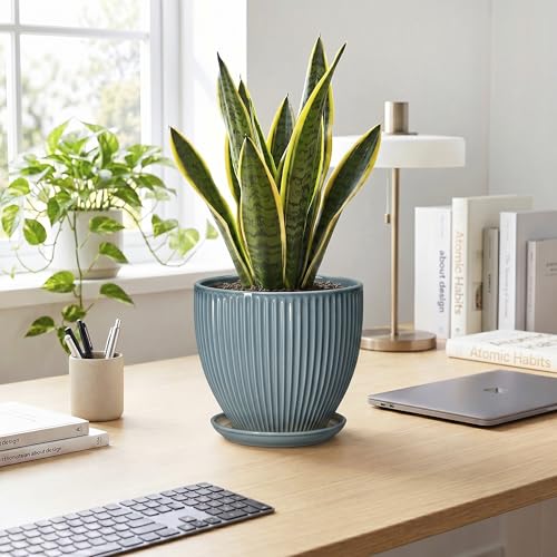 Ceramic Planter, 8 Inch Plant Pot Indoor with Saucer, Glaze Blue - color: Glaze Blue, size: 8 Inch
