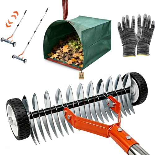 Adjustable Thatch Rake with Wheels - 38"-65" Handle, 21 & 11 Dual-Sided Steel Tines, Heavy-Duty Lawn Dethatching Rake for Cool & Warm Season Grass, Landscape and Lawn Care