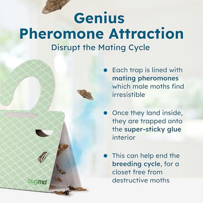 BugMD Clothes & Pantry Moth Traps with Sticky Glue - color: Green, size: 1 Pack - 6 Traps