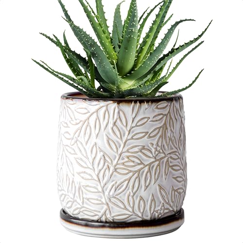 D'vine Dev Embossed Leaves Ceramic Planter, 6 in, Smoked White, 27-A-X-1 - color: Smoked White, size: 6 Inch