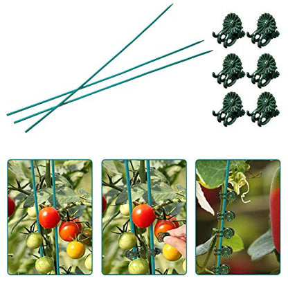 Jetec 120 Pieces Plant Support, Include 18 Inch Wood Plant Stake, Plant Clips, Garden Plants Bamboo Stake Craft Floral Picks Orchid Clips, Green