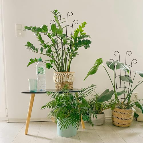 30 Inch Trellis for Climbing Plants Indoor 3 Pack Indoor Plant Trellis for Potted Plants Metal Garden Trellis for pots Indoor Outdoor for Monstera Pothos Vine Ivy Hoya(30inch Black)