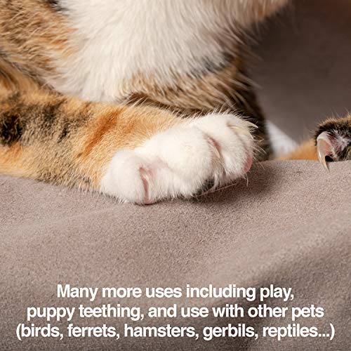 PetFusion Pet Grooming Gloves, Hair Removal and Bathing, Scratch Resistant - size: Large