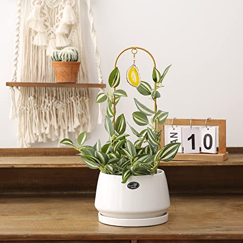 2PCS Small Gold Plant Trellis for Indoor Potted Climbing Plants with Agate - color: 04-Yellow Blue