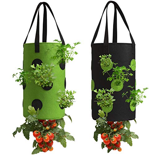 2 Pack Upside Down Hanging Tomato & Herb Planter, Strawberry Planter Bags - color: Set of 2 - Black and Green