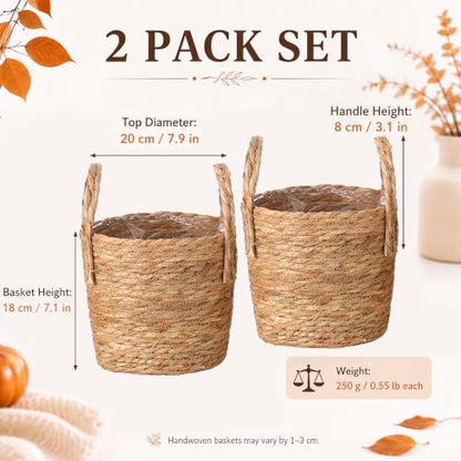 Novabright 2 Pcs Fall Woven Basket Planter, Wicker Planter, 10'', Natural - size: 10''