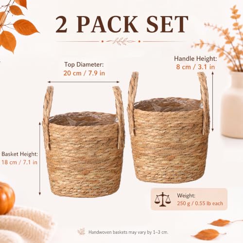 Novabright 2 Pcs Fall Woven Basket Planter, Wicker Planter, 10'', Natural - size: 10''