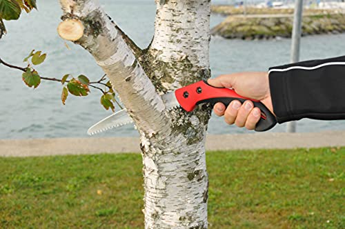 FELCO 621 Pruning Saw – Straight Pull-Stroke Saw for Tree Trimming & Forestry | Tree Branch Cutter | Handsaw with Tapered Hardened Steel 9.5" Blade, Non-Slip Handle, Carrying Sheath, Swiss Precision