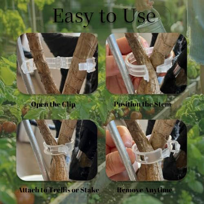 Plant Fixing Clips — Gardening Vine Support Buckles — Suitable for Tying the Stems of Climbing Plants (e.g., Tomatoes, Cucumbers)