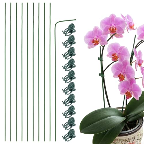 Nogeqi 10 Pack Orchid Stakes and Clips, Flexible Plant Support Stakes,11.8 Inch Plant Holder Stick for Garden,Plants Supports for Tomato Rose Outdoor Indoor Plants Professional Phalaenopsis - color: green