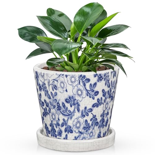 Ceramic Pot for Plants 5.5 inch Blue and White Pot for Plants Small Chinoiserie Planter Pots with Drainage Hole and Saucers Outdoor Inoor Blue Flower Pots for Succulent, Cactus, Snake Plant, Herb - color: Blue and White