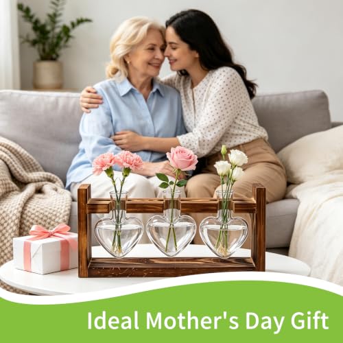 Plant Terrarium Propagation Stations with Heart Hydroponic Vase