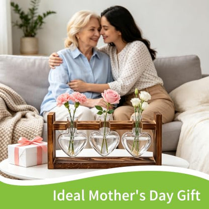 Plant Terrarium Propagation Stations with Heart Hydroponic Vase