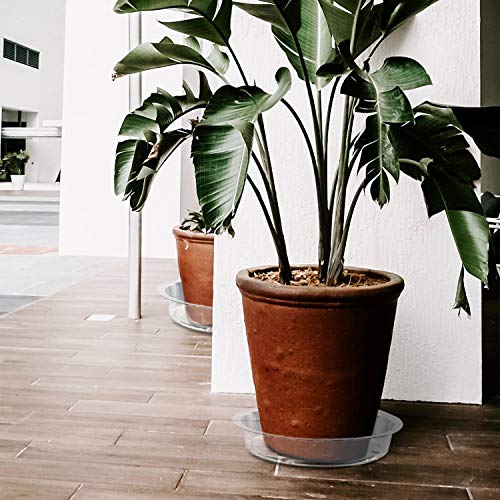 Rocutus Plant Saucer,20 Pack Plastic Plant Saucer Drip Trays Small Plant Plate Dish,Heavy Duty Clear Plastic Plant Saucers Flower Pot Tray Flower Pot Drip Pan for Indoor and Outdoor Plants (12 Inch) - size: 12 Inch