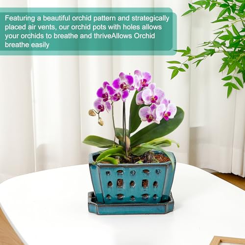 Teenyyou 7 Inch Ceramic Orchid Pot with Holes and Saucer Repotting,Green - color: Green