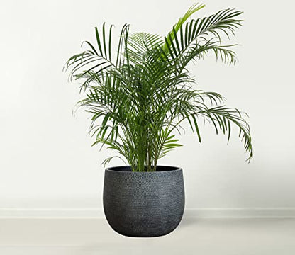 Olly & Rose Barcelona Ceramic Plant Pot Large 10 Inch - Charcoal Black Flower Pots - Plant Pots Indoor & Outdoor Planters Extra Large - color: Black