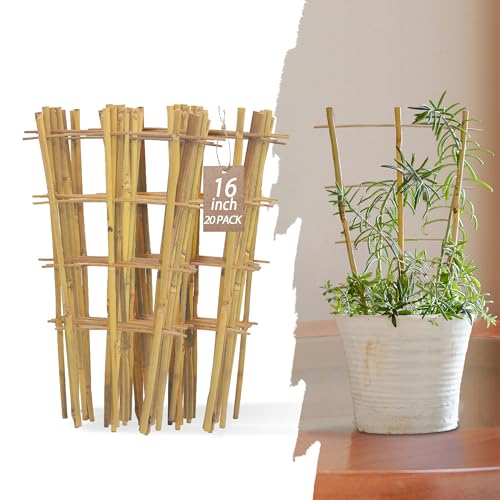 Bamboo Trellis for Climbing Plants 20 Pack, 16 Inch Garden Ladder Trellis for Potted Plants Indoor, Small Plant Support Trellis for Houseplants Vine - color: Fan-Shaped, size: 20 PACK-16 inches