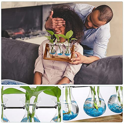 Plant Propagation Station Accessories, 2 Pack Glass Hyacinth vase